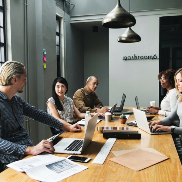 Startup Team